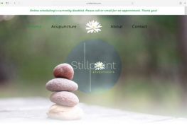 Website Design and Development for Stillpoint Acupuncture, Denville, NJ